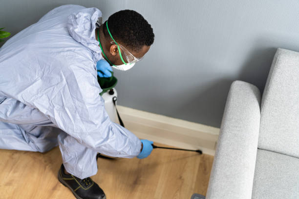 Emergency Pest Control Services in Round Rock, TX